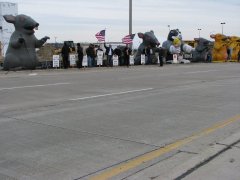 buona beef picket